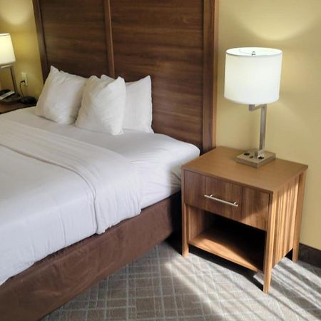 Comfort Inn & Suites At Stone Mountain Exterior foto