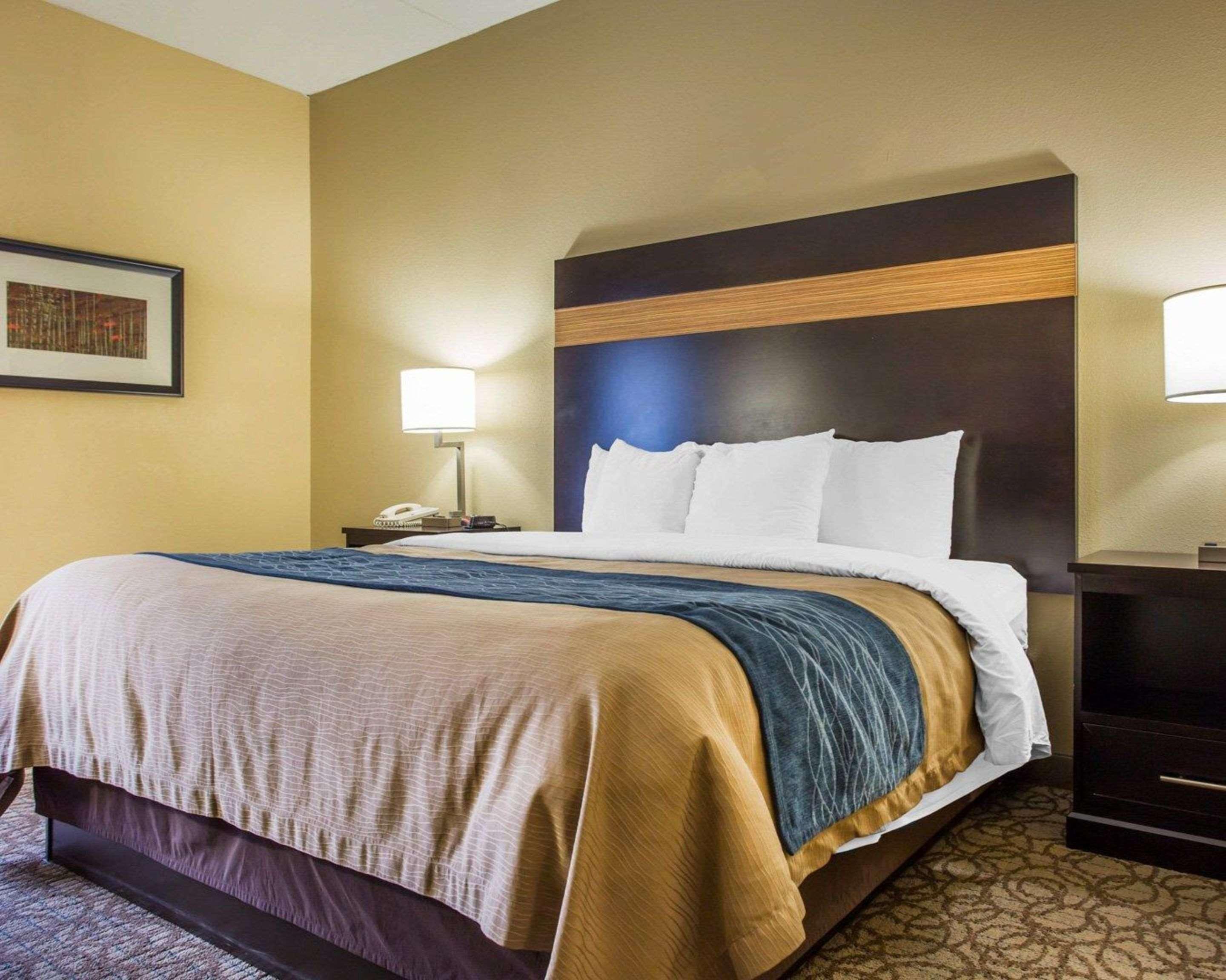 Comfort Inn & Suites At Stone Mountain Exterior foto