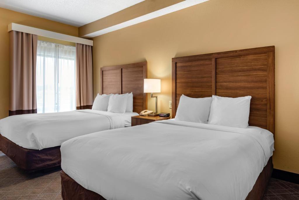 Comfort Inn & Suites At Stone Mountain Exterior foto