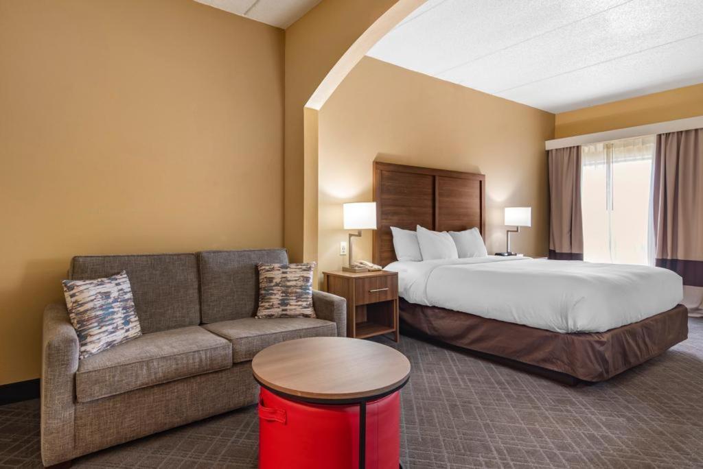 Comfort Inn & Suites At Stone Mountain Exterior foto