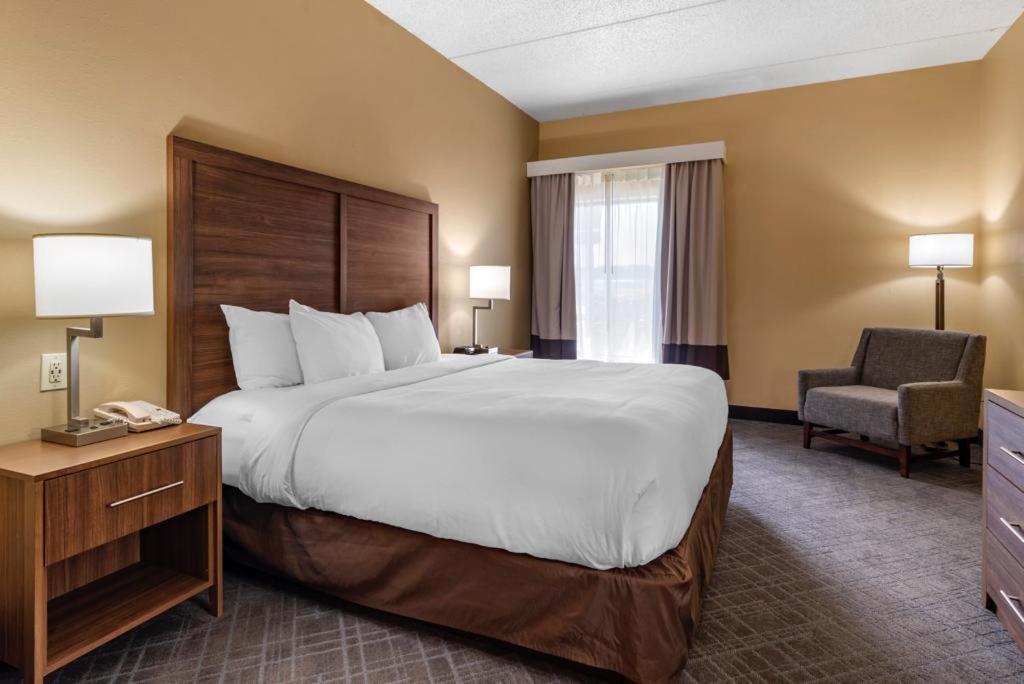 Comfort Inn & Suites At Stone Mountain Exterior foto