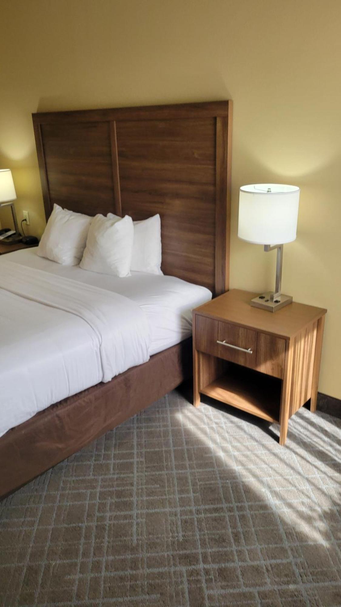 Comfort Inn & Suites At Stone Mountain Exterior foto