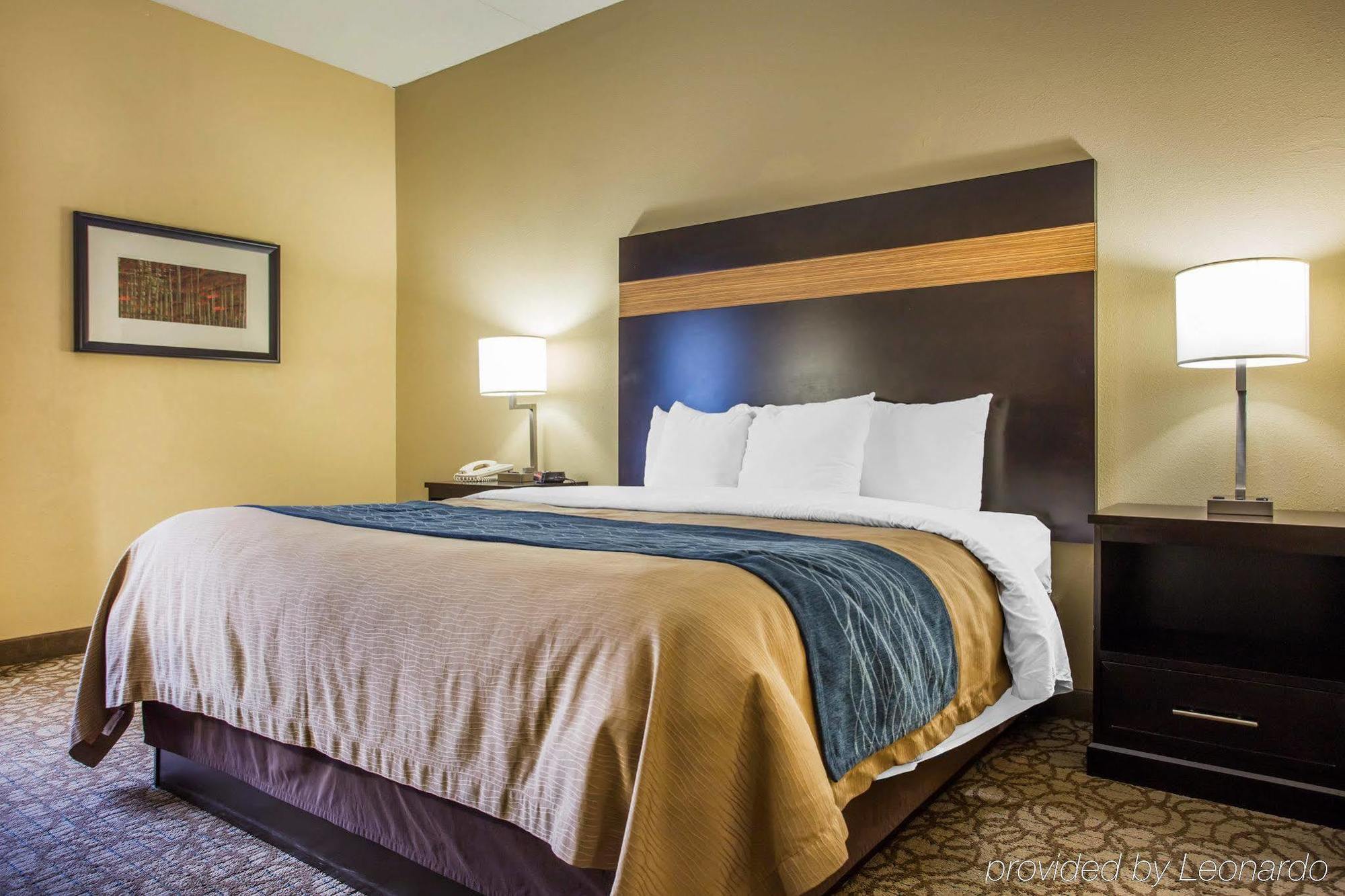 Comfort Inn & Suites At Stone Mountain Exterior foto