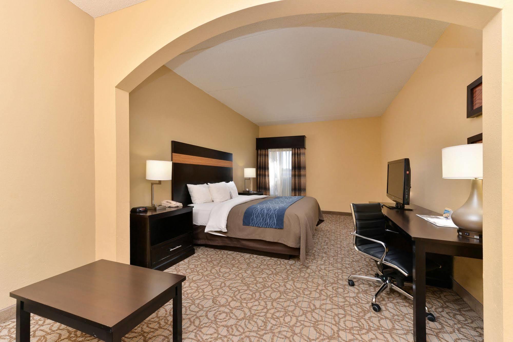 Comfort Inn & Suites At Stone Mountain Exterior foto